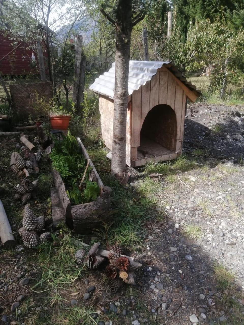 Cabana May Pao, Para 3 En Melipeuco Cerca Del Parque Nacional Conguillio Eksteriør bilde