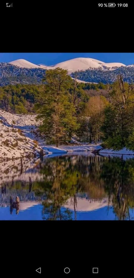 Cabana May Pao, Para 3 En Melipeuco Cerca Del Parque Nacional Conguillio Eksteriør bilde