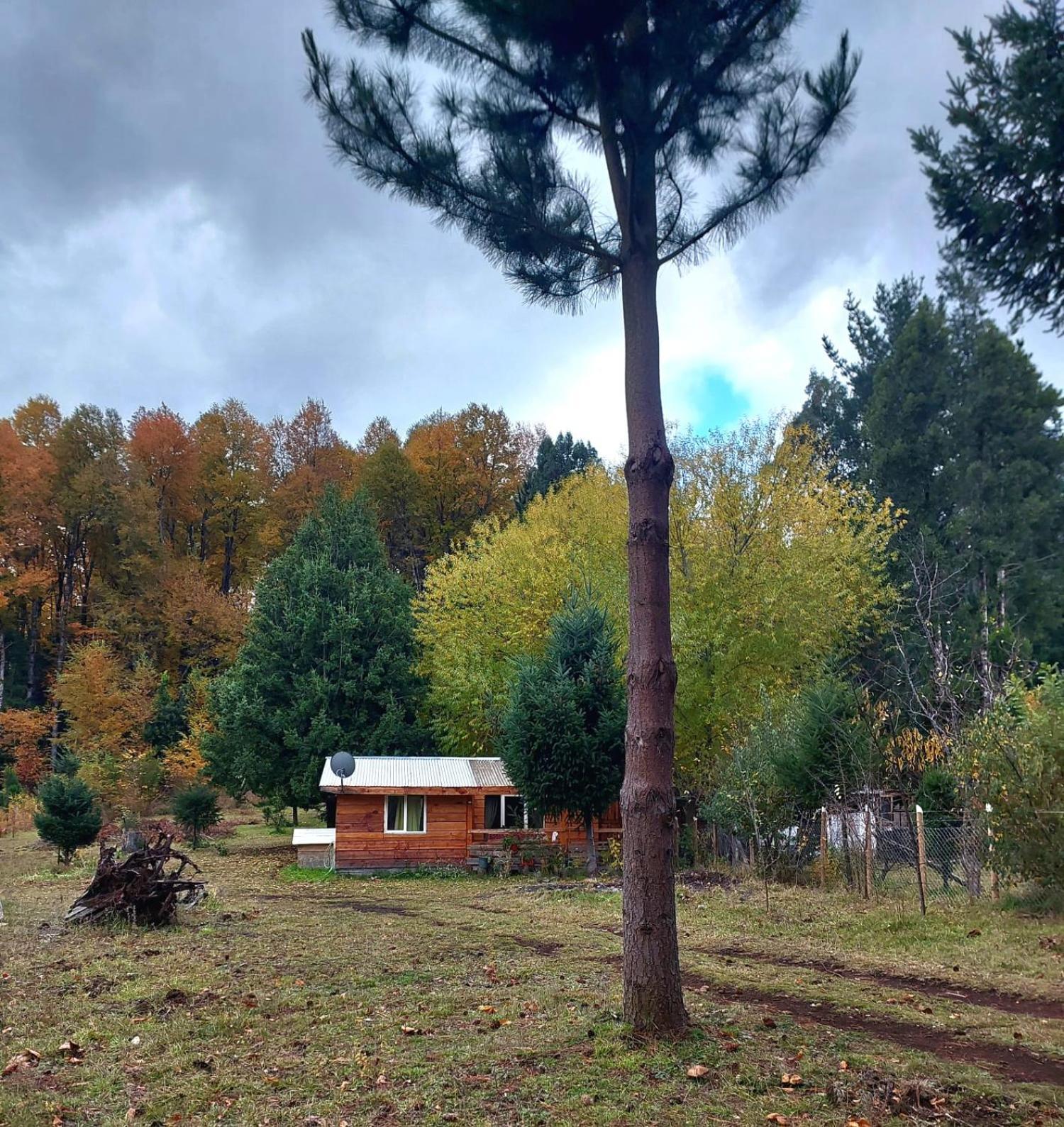 Cabana May Pao, Para 3 En Melipeuco Cerca Del Parque Nacional Conguillio Eksteriør bilde