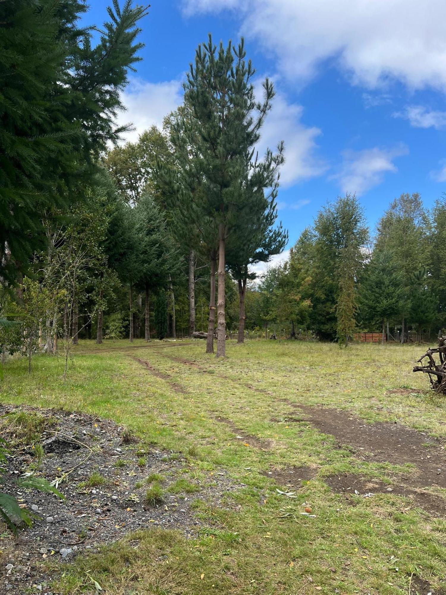 Cabana May Pao, Para 3 En Melipeuco Cerca Del Parque Nacional Conguillio Eksteriør bilde